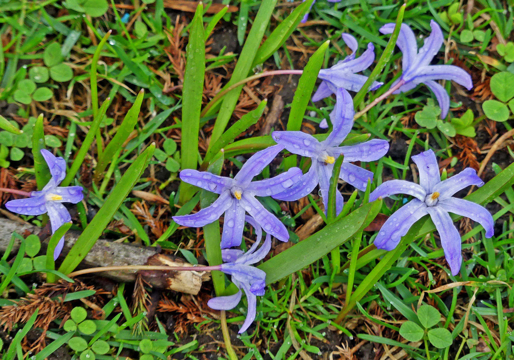042119 WES Wilcox Park in Spring 346.JPG